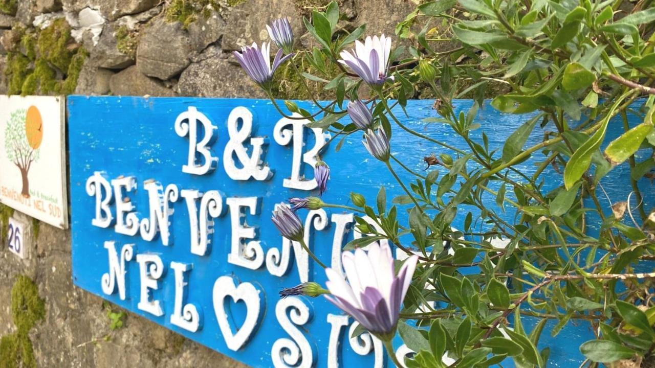 Bed and Breakfast Benvenuti Nel Sud Sessa Cilento Zewnętrze zdjęcie