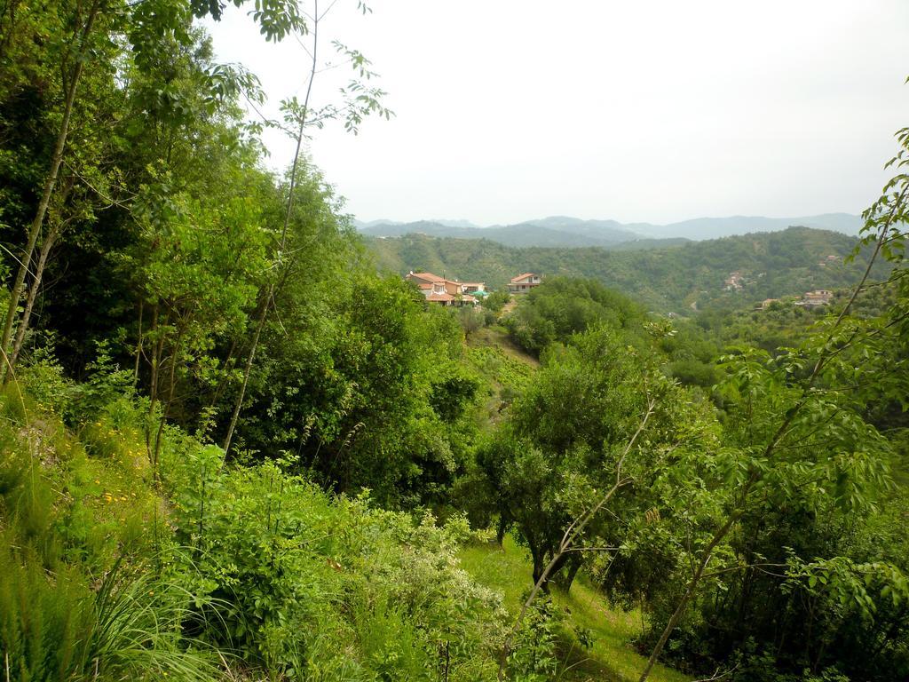 Bed and Breakfast Benvenuti Nel Sud Sessa Cilento Zewnętrze zdjęcie