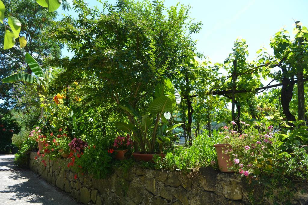 Bed and Breakfast Benvenuti Nel Sud Sessa Cilento Zewnętrze zdjęcie