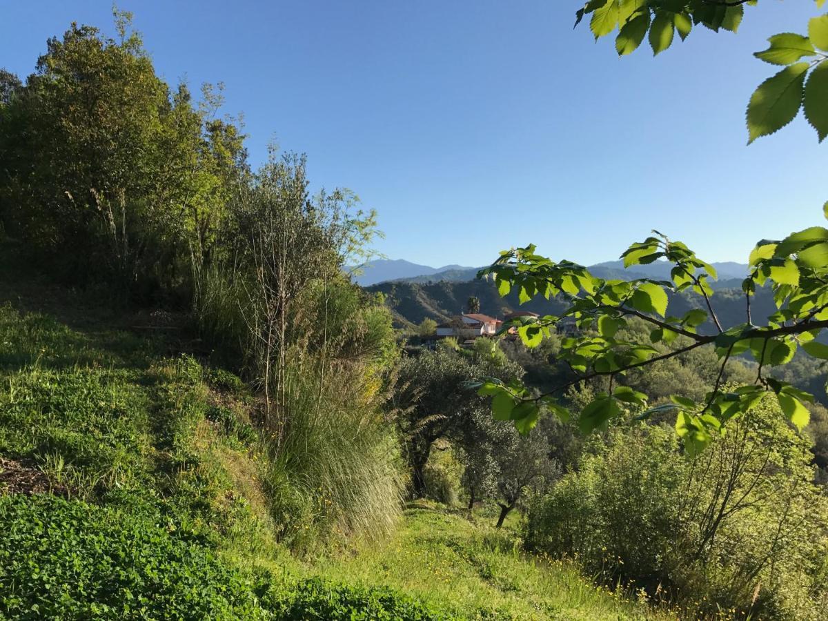 Bed and Breakfast Benvenuti Nel Sud Sessa Cilento Zewnętrze zdjęcie